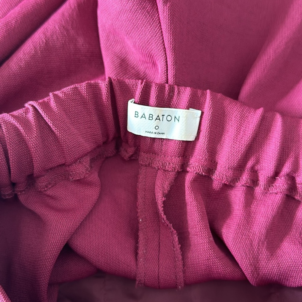 Babaton Slacks - image 3